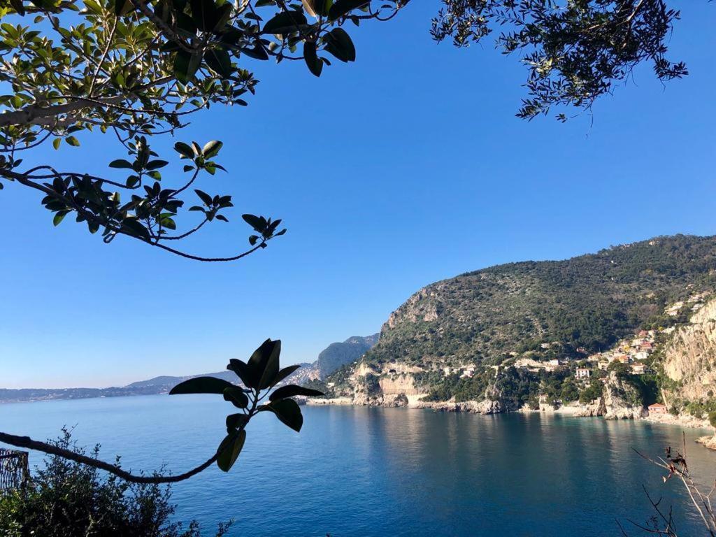 Une Terrasse Sur Monaco Logement 2 Chambre Beausoleil Eksteriør billede